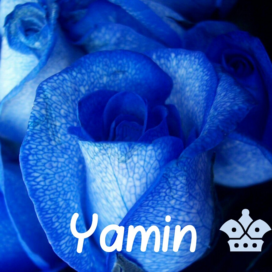 Picsart profile picture for @yamin