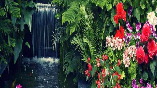 Picsart banner for @fao