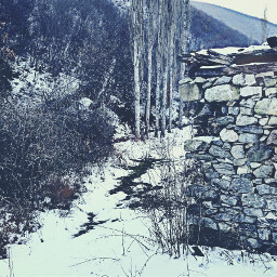 winter snow nature photography landscape
